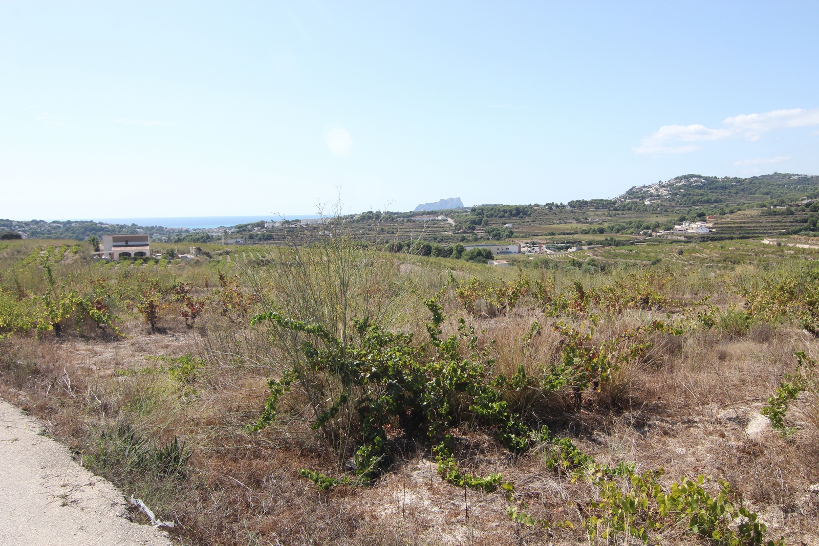 Terrain rustique à vendre avec vue panoramique.