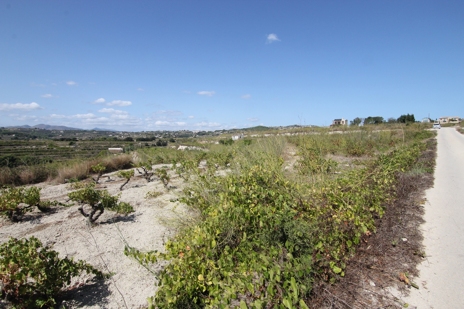 Terrain rustique à vendre avec vue panoramique.